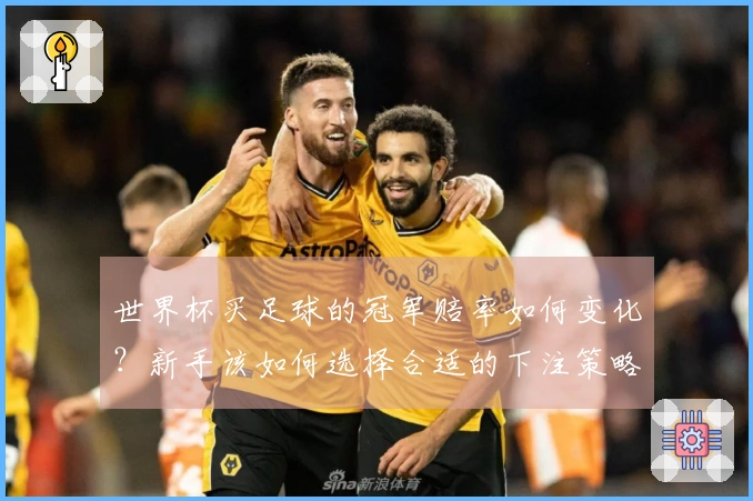 世界杯买足球的冠军赔率如何变化？新手该如何选择合适的下注策略？