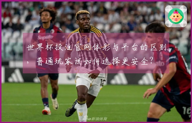 世界杯投注官网体彩与平台的区别，普通玩家该如何选择更安全？