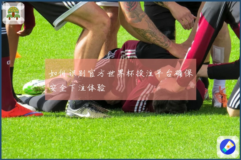如何识别官方世界杯投注平台确保安全下注体验