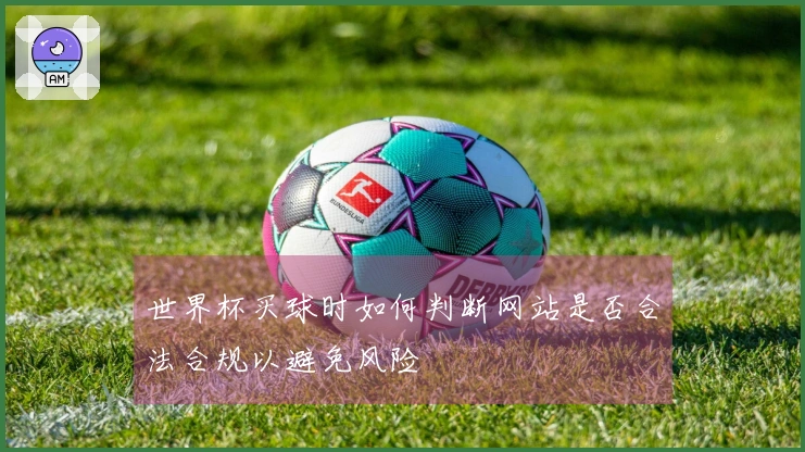 世界杯买球时如何判断网站是否合法合规以避免风险