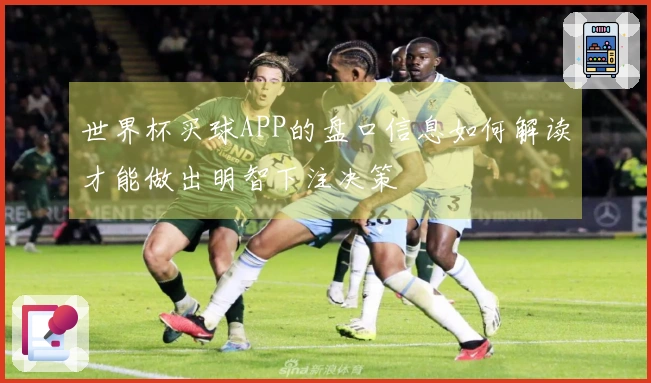 世界杯买球APP的盘口信息如何解读才能做出明智下注决策