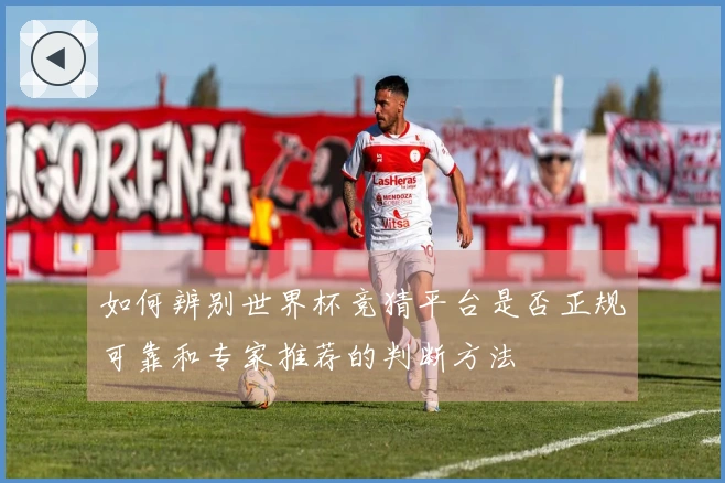 如何辨别世界杯竞猜平台是否正规可靠和专家推荐的判断方法
