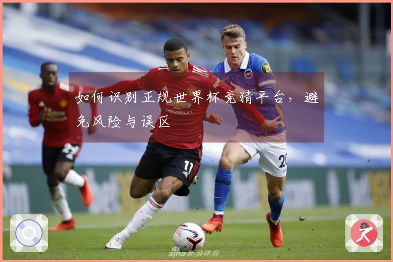 如何识别正规世界杯竞猜平台，避免风险与误区