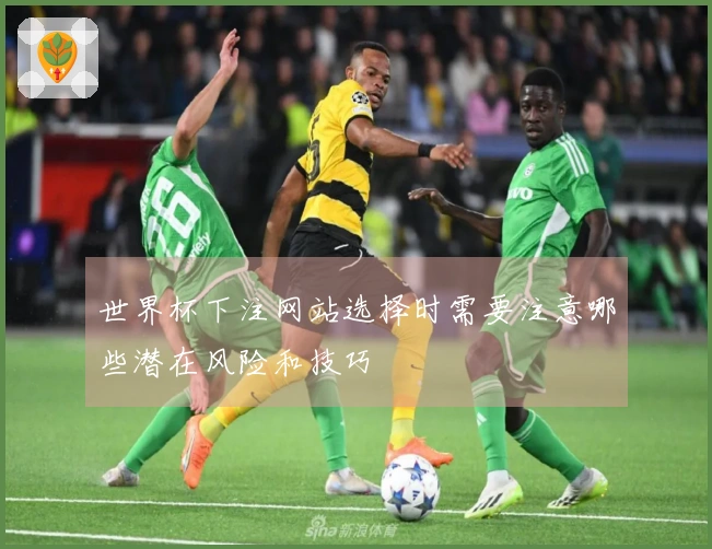 世界杯下注网站选择时需要注意哪些潜在风险和技巧