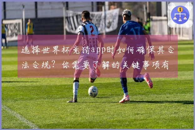 选择世界杯竞猜app时如何确保其合法合规？你需要了解的关键事项有哪些？