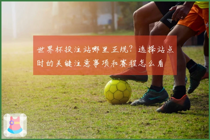 世界杯投注站哪里正规？选择站点时的关键注意事项和赛程怎么看