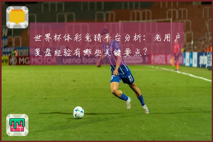 世界杯体彩竞猜平台分析：老用户复盘经验有哪些关键要点？