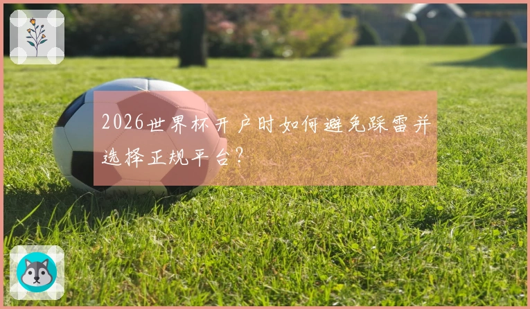 2026世界杯开户时如何避免踩雷并选择正规平台？