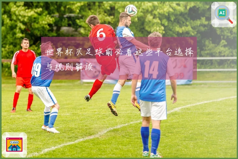 世界杯买足球前必看这些平台选择与规则解读