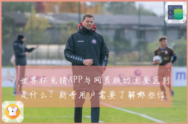 世界杯竞猜APP与网页版的主要区别是什么？新手用户需要了解哪些信息？