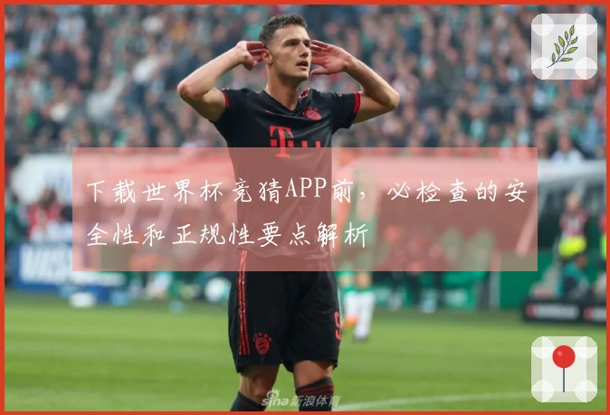 下载世界杯竞猜APP前，必检查的安全性和正规性要点解析