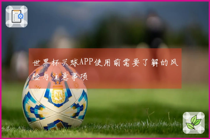 世界杯买球APP使用前需要了解的风险与注意事项