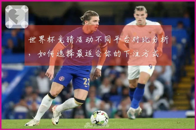 世界杯竞猜活动不同平台对比分析，如何选择最适合你的下注方式