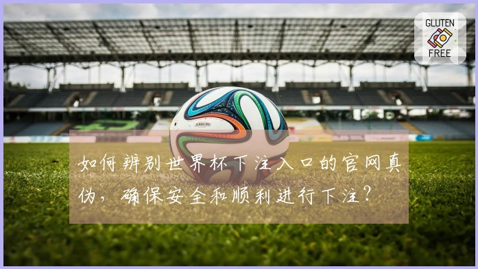 如何辨别世界杯下注入口的官网真伪，确保安全和顺利进行下注？